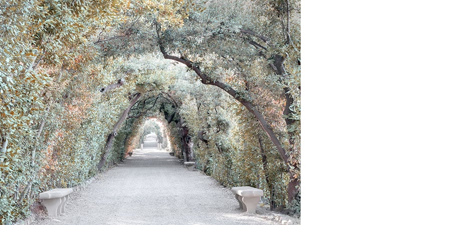 giardini di boboli francesco jodice