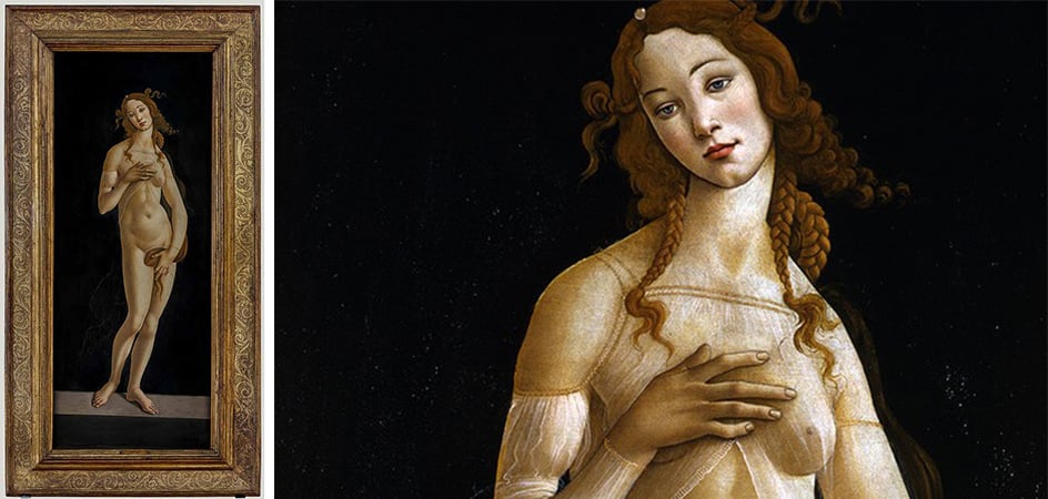 venere botticelli torino